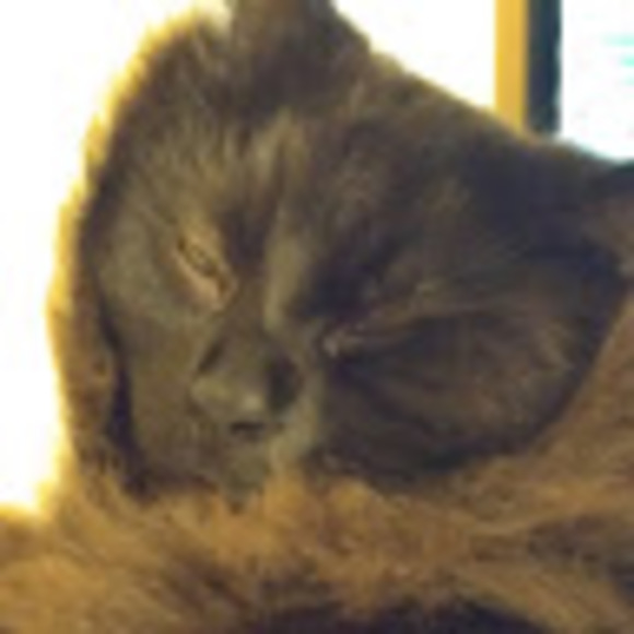 Meet your Posher, Jennifer - Picture 1 of 1